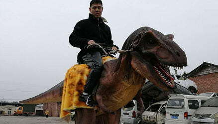 YI WANG Cowboy Riding T-Rex Walking Dinosaur Costume Unleash! %article ...