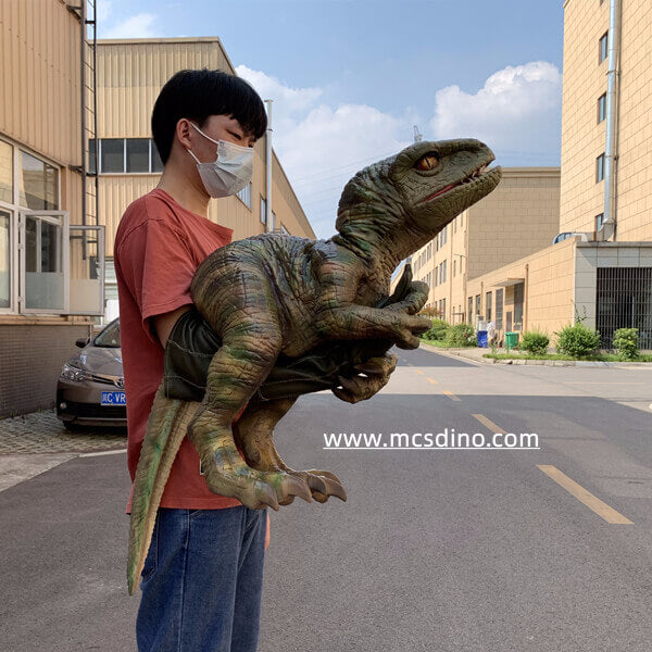 Baby Raptor Hand Puppet-BB035 – mcsdino