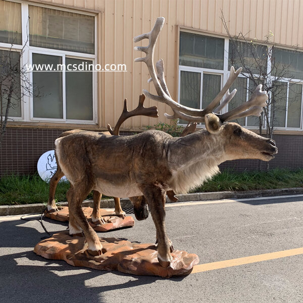 Animatronic Caribou Reindeer Model Set-MAR004B