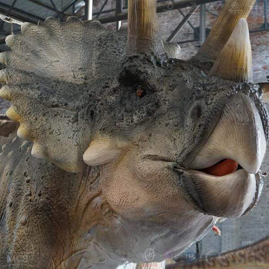 MCSDINO Animatronic Dinosaur Dinosaur Model 32 Foot Animatronic Triceratops-MCST003