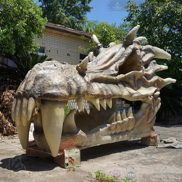 real dragon skull