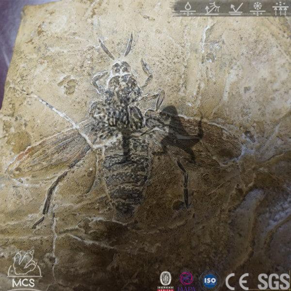 giant prehistoric insects fossils