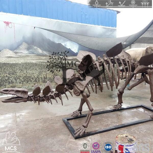 stegosaurus fossils